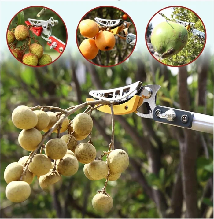 cut and hold tree pruner